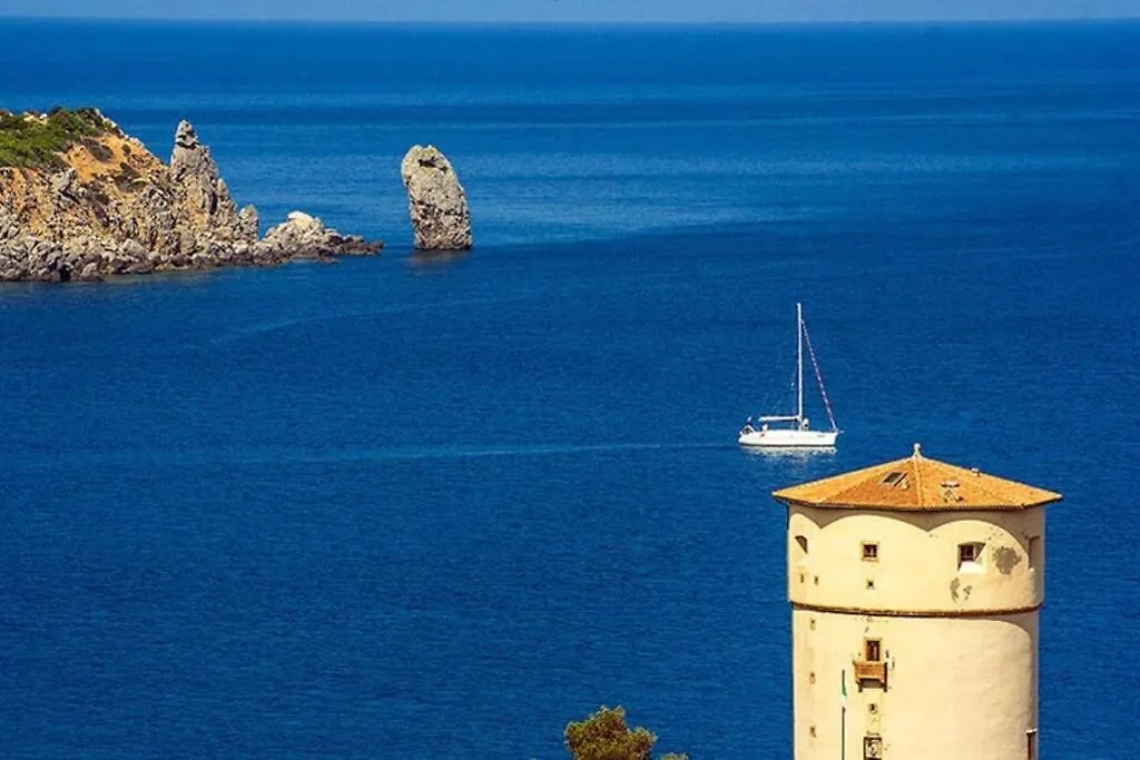 Giglio Verde 5 Giglio Castello